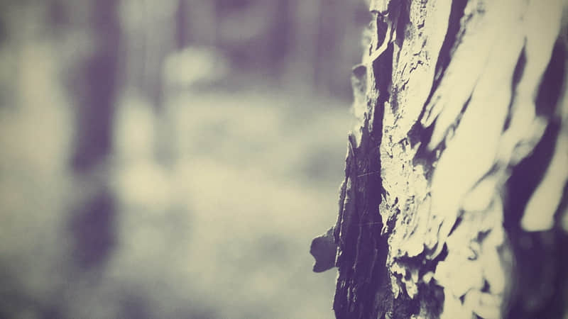 �������Ϊ���΢���ö��̾䡱??