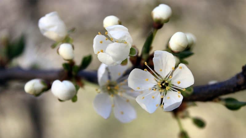 ��????????�����Ϊ���΢���ö��̾䡱