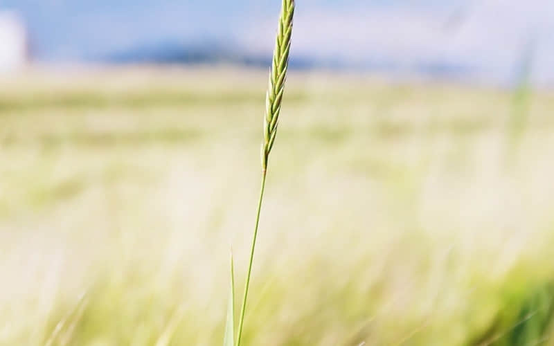 ���ɽ�����ôɹ�����Ͽͻ�����ů�ģ��¿ͻ����˶��ġ�