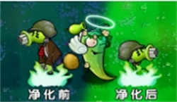 ֲ���ս��ʬ�ӽ����ǹ�������������ȫ�����