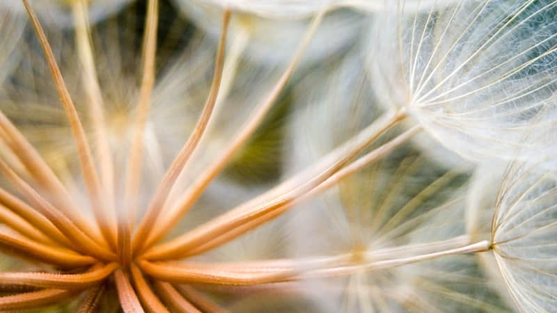 ��?? ??????????????�����Լ�ż����ήһ�£�������????��