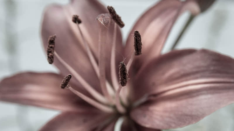 �����ˣ�͵һ��ȥ��ů�������Ȧ��