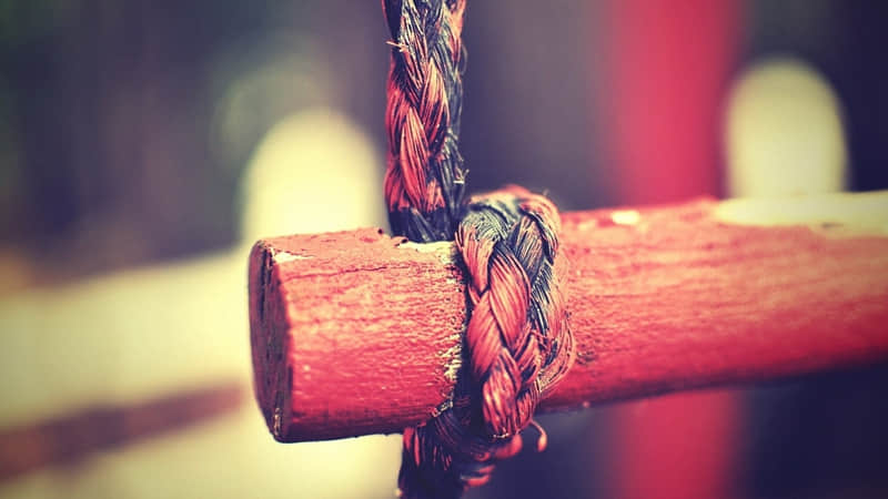 ��2026 ���Լ����İ����߼�����־��