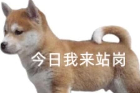 ������վ��С����ʲô��˼