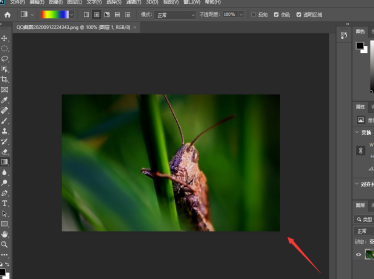 photoshop2020����½�ͼ�㣿photoshop2020�½�ͼ��ķ���