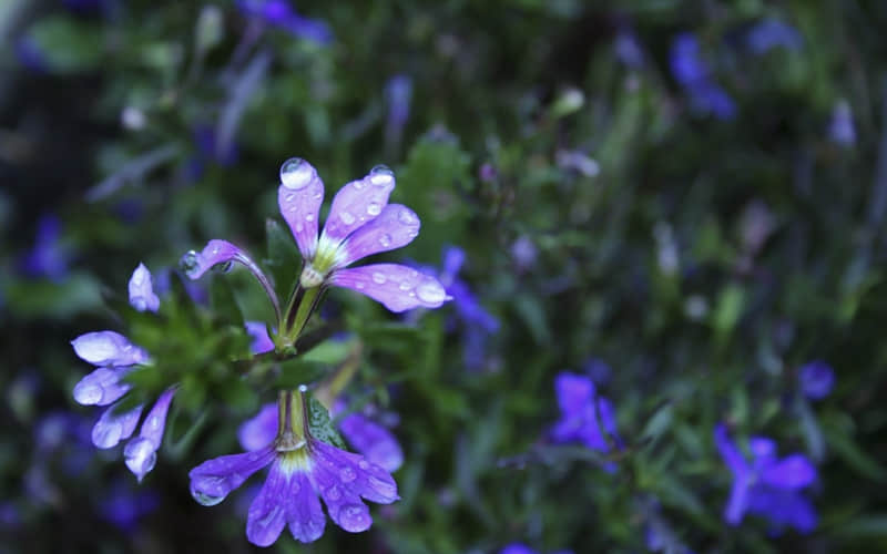 "�����������ʲô"