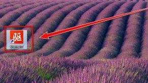 ���������׼������޸����磿���������׼���޸�����ķ���