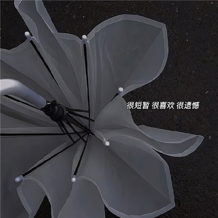 Ƣ˥���İ��˸���������(��ѡ100��)