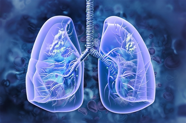 17��С��˯����������ѷ�Ū���ˣ����ݸ߸ˡ�������Ҫע��