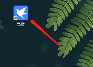 Ѹ��11��β鿴����汾��Ѹ��11�鿴����汾�ķ���