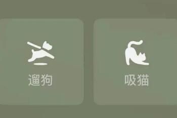 ��è΢��״̬��ʲô��˼