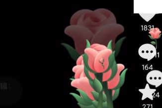 ����������ô���õ�廨