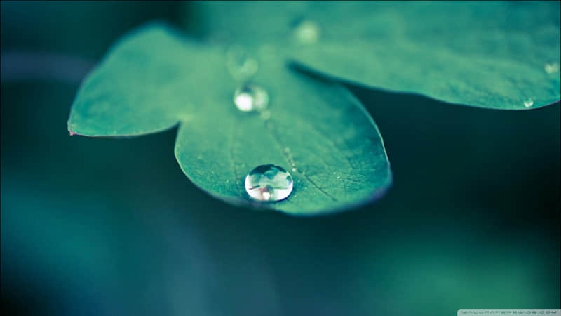 ����һ�䣬ȥЦ���������Ȧ��