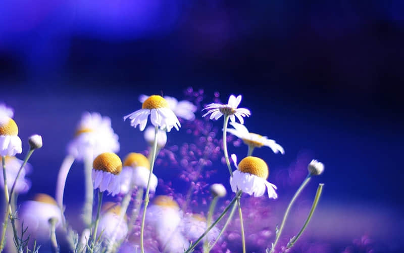 ��2?2?��һ�䣬ȥ΢���ö��ɣ���