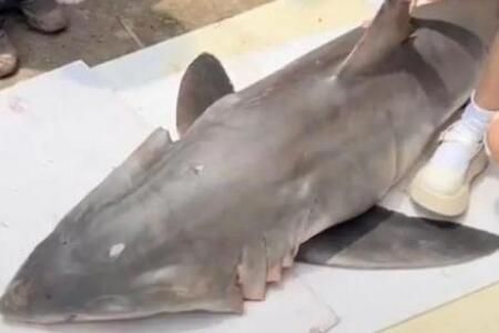 �������ӳ�����ԭ��Ƶ���Ŀ�