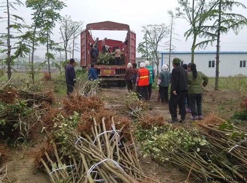 �ʺ���ͨ�ϰ��մ�ҵ��5����·