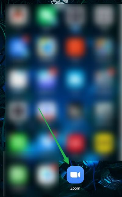 Zoom��Ƶ������ô�����Զ�¼�ƻ���?Zoom��Ƶ���������Զ�¼�ƻ���ķ���