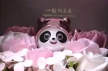 ��ɫ���ն������򣿹�����������