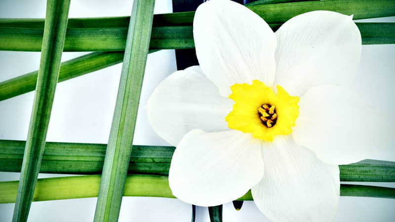 ����Խ������ĳ��Խ��ʧȥ�㡱