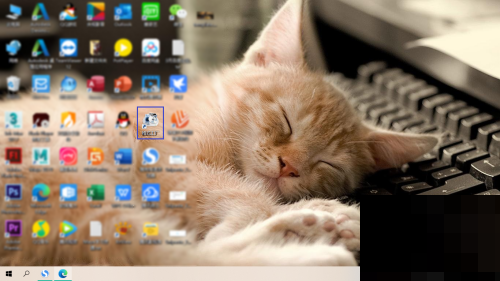 ��ʽ������ô�鿴�汾�ţ���ʽ�����鿴�汾�ŷ���