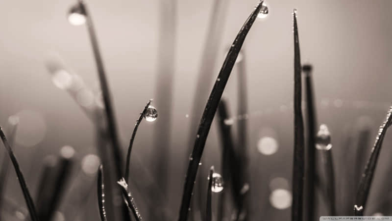 ���Ȱ����������ϵ�İ���