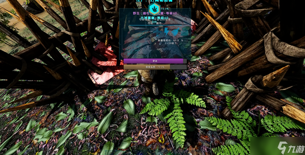 ���������������������ôѱ��