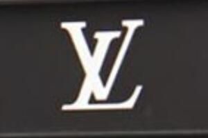 LV��Ʒ����Zͼ��������֧�ֶ���˹ Z��ʲô��˼