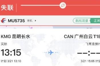 ����737����һ��׹���˶��ټ�