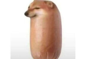 ������㳦����ʲô���������