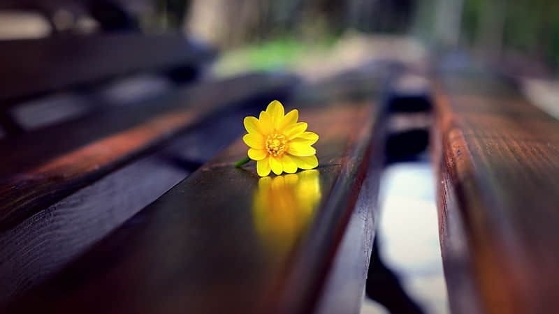 ����������������ҭ���Է���??