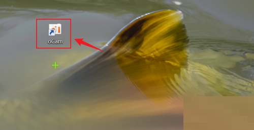 oCam(��Ļ¼������)��ô����¼�ư������?oCam(��Ļ¼������)����¼�ư������̳�