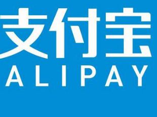 һ��֧�������԰󶨼����Ա���