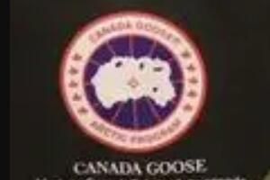 ���ô���ŵ14������ѻ��� �й���½�����˻�������