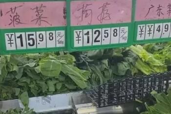 �˱�����Ϻ����������г��߲˼۸�����