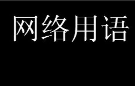 ޶��ë��²�ʲô��˼