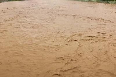 ����ƺ���ѴΪʲô������_��ý���