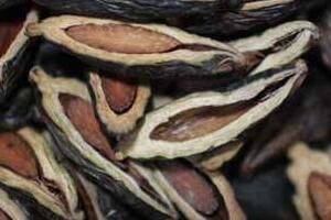 ���ƻ��°����Ϊʲô����ֹ������