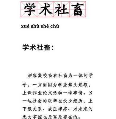 ѧ��������ʲô��˼��