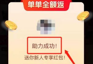 ����Ϊʲô��������������