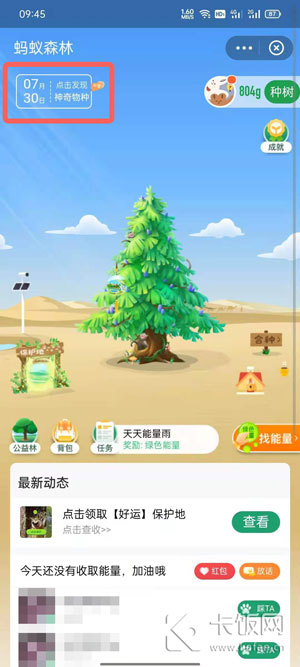 ����ɭ���������������ﱣ������