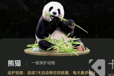 ����ɭ�ָ��ٱ���������è��