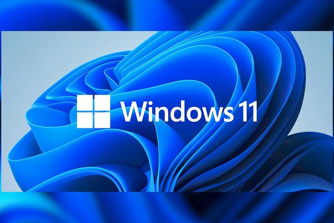 win11��Ҫ������win11�ǲ�����ѵ�
