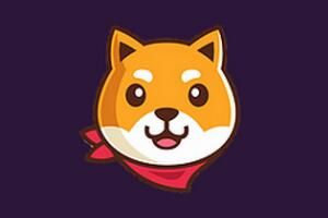 ����Ȯ�ҷ������Ƕ��٣�Ͷ��ǰ����ô��