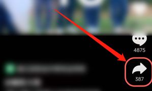 ����һ����Ƶ�رշ�������