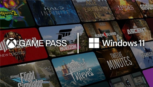 Ϊʲô����������Win11?����������Win11������