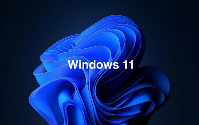 Win11רҵ��ͼ�ͥ����ʲô����?Win11רҵ��ͼ�ͥ��ԱȽ���