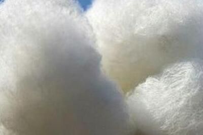 �½��޻�����ͨ�޻���ʲô���������