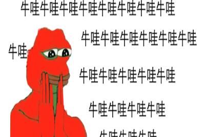 ��������ţ����ʲô�� ������˼��������