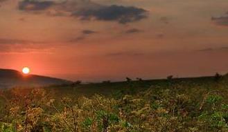 �����������ſ챨�������������ҵ�߼���ʲô��ʢ��ѡ��