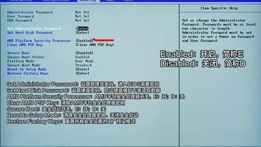 pro5���������Win11?pro5������Win11�Ľ̳̲���